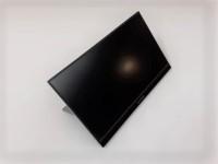 Portable monitor